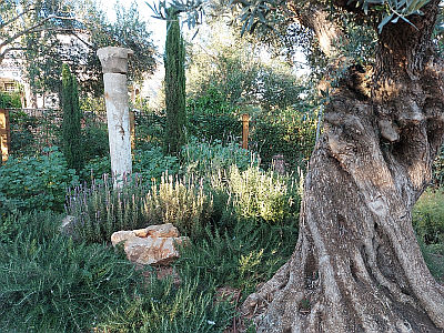Las mejores 150 ideas de piedras para el jardin  jardines, decoración de  unas, senderos de jardín